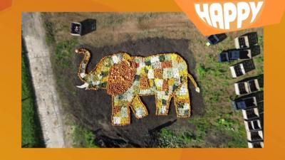 An elephant made up from pumpkins