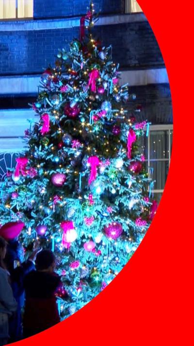 Downing Street Christmas tree.