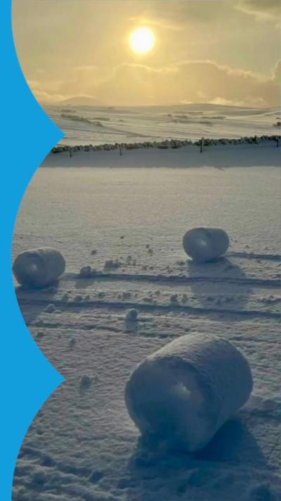 A snowy field in the sun, with three 'snow rollers' visible.