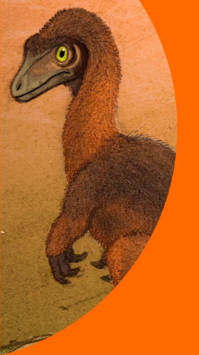 A cartoon image of an orange furry dinosaur. 