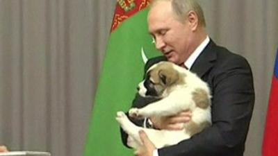 Vladimir Putin with dog