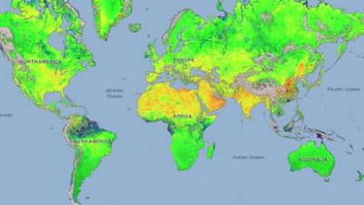 Pulse map