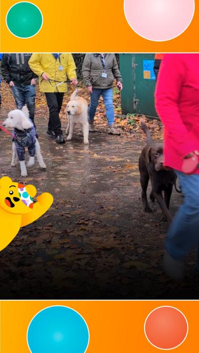 Dogs and their owners