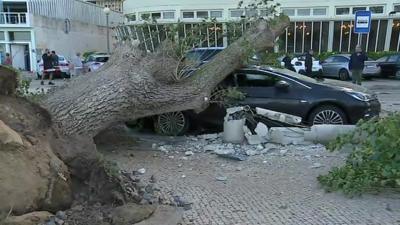 Storm Leslie causes damage to car