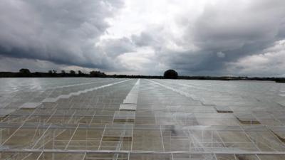 Low Carbon Farming’s greenhouse