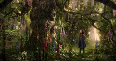 The Magic Faraway Tree in a shady forest, surrounded by lots of lupin and foxglove flowers and a girl standing looking up at the tree and smiling