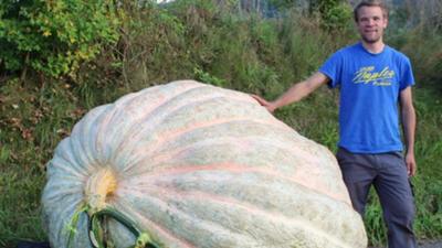 Giant pumpkin