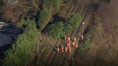 Tree blown onto the railway lines