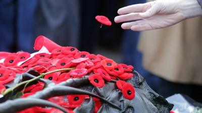 Remembrance day poppies