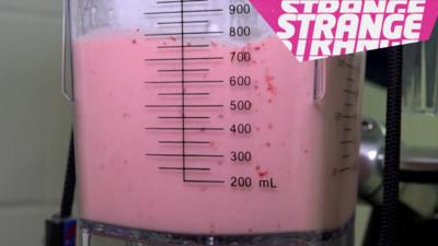 Milkshake