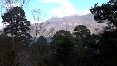 Tèarmann Nàdair Nàiseanta Bheinn Eighe