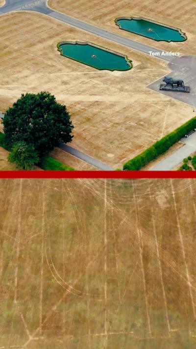 Two pictures of dry grass showing lines going through it.