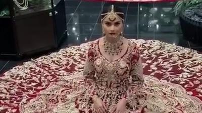 Seema Sarees TikTok video