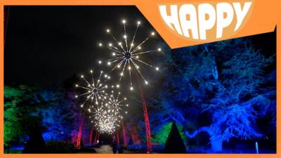 A christmas light show and the Happy News logo