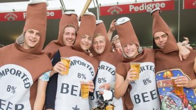 Beer bottle fancy dress fans