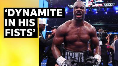 Daniel Dubois celebrates a win in the ring