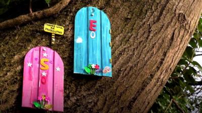 Fairy doors