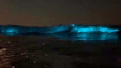 Electric blue waves from bioluminescent plankton