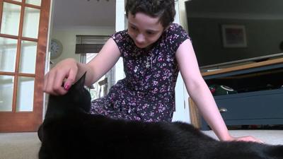 A young girl called Evie found out just how supportive our furry friends can be
