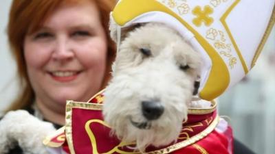 Dog dressed as the pope