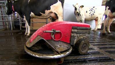 Robot being used in Scottish farm