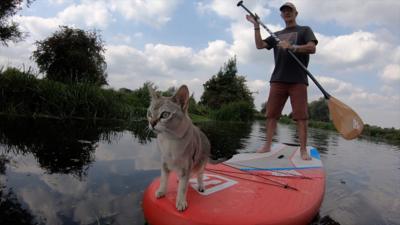 Noodle and her owner Nigel paddleboarding