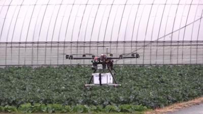 Drone carrying food