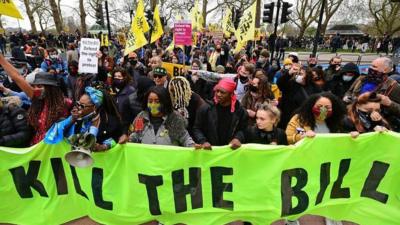 Protestors