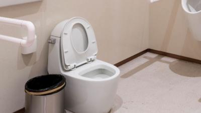 A toilet with a waste bin beside it