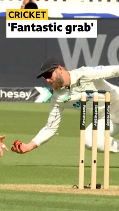 Kane Williamson