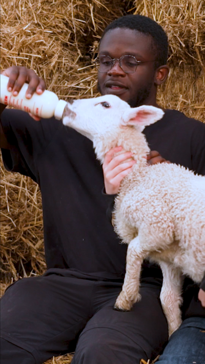 De-Graft learns how to feed a lamb