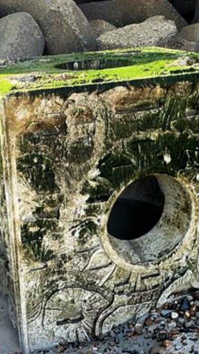 An artificial reef cube