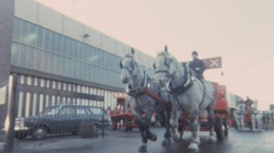 Two horses pull a trailer