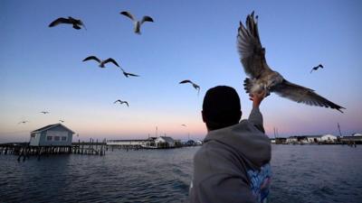 Tangier Island