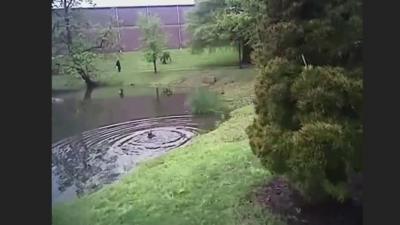 boy in pond