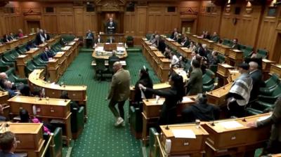 MP ripping up bill as others join in on haka