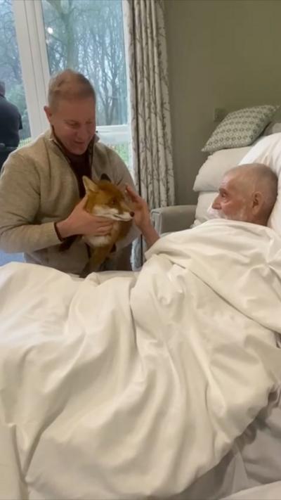 Man in a grey jumper holds a fox towards a man with a white beard in a care home bed.