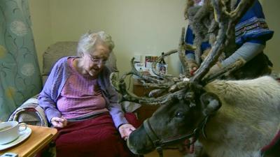 A reindeer visits a woman in an elderly care home