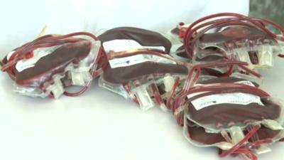 Bags of blood for transfusion