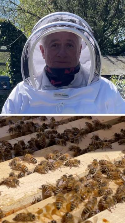 A split screen between beekeeper Tony Pole and a swarm of bees working their hive.