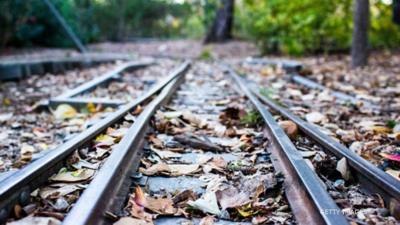 Leaves on railway line