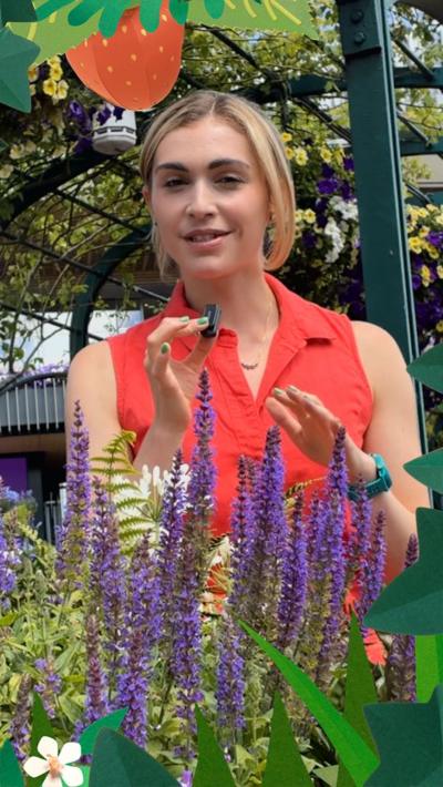 Emma Middleton explores why Wimbledon is purple and green