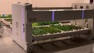 indoor farm