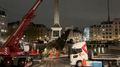 A crane lifts a large Christmas tree near Nelson's Column in Trafalgar Square, with workers in orange vests directing the operation at night.