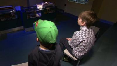 Autistic children in specialist learning zone