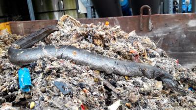 A large eel, toys and wet wipes were among the tonnes of items clogging up sewers last year.