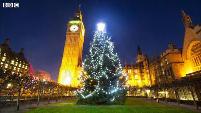 Christmas tree in Westminster