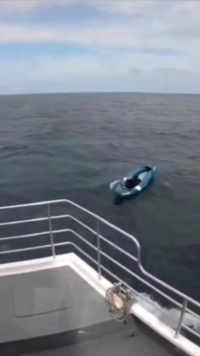 A black dog is sitting in a blue kayak a few metres away from the front of the boat.