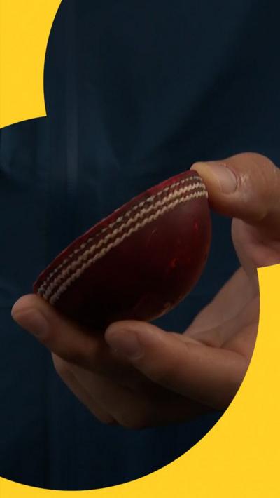 half of a cricket ball 
