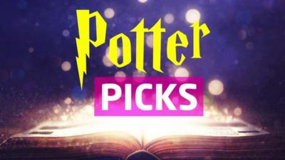 potter picks